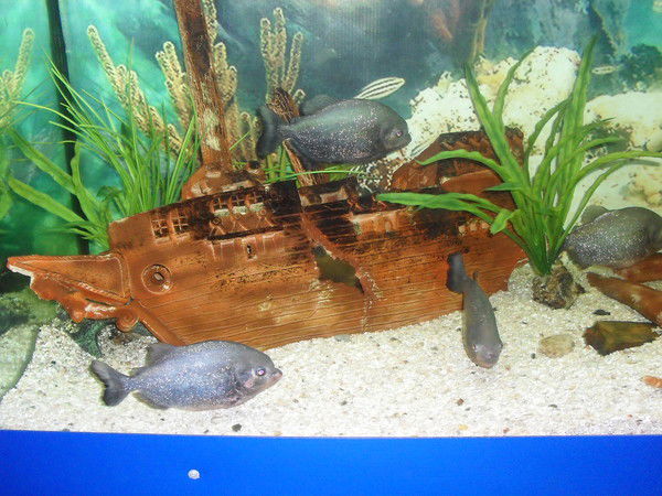 Игорь Корнилаев