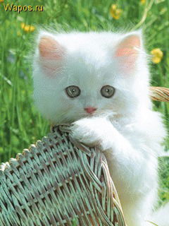 Клавдия Осколкова