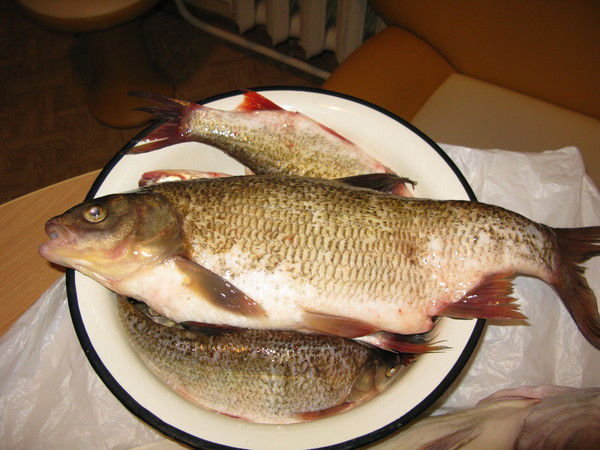 Сергей Ларцев