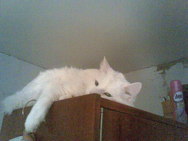 Юрий Фффффф