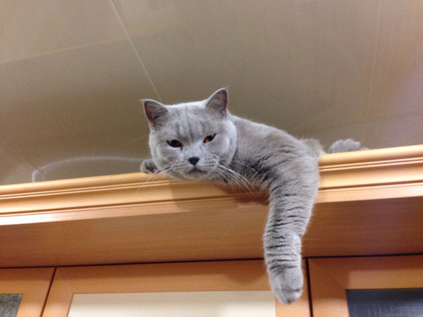 Виталий Асадчих