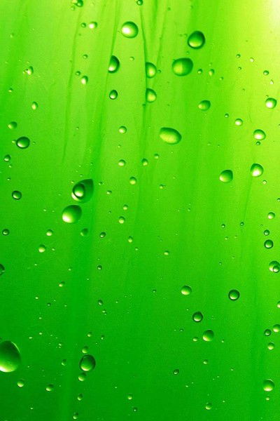 Валентина Колесникова