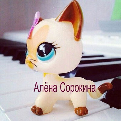 Алёна Сорокина