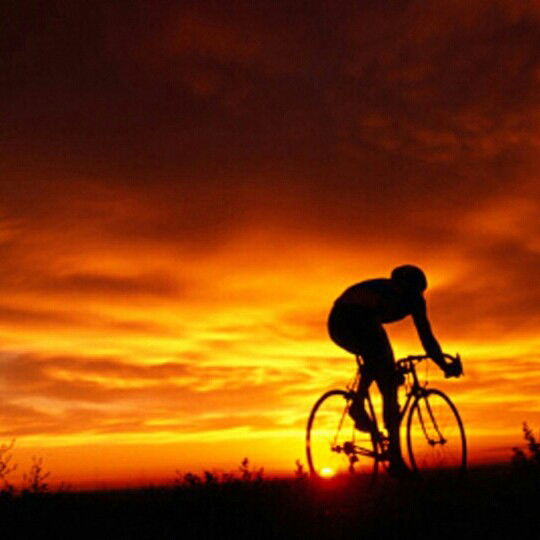 Алексей Антонов