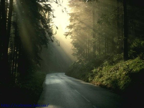 Кристина Ланкис