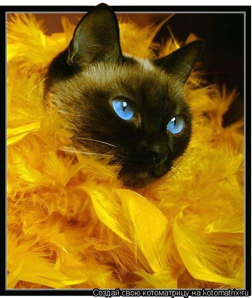 Надежда Чаусова