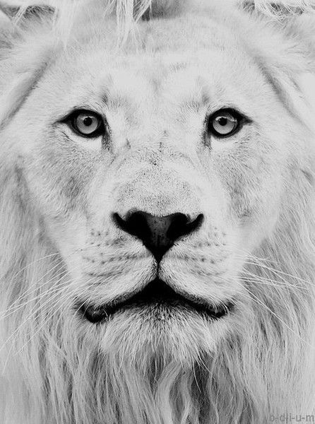 Айдар Абенов