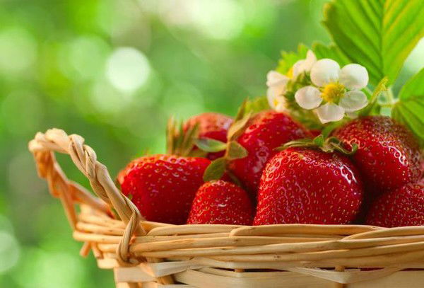 Светлана Тимчук