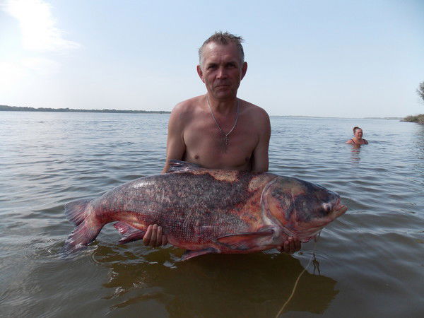 Иван Доронин