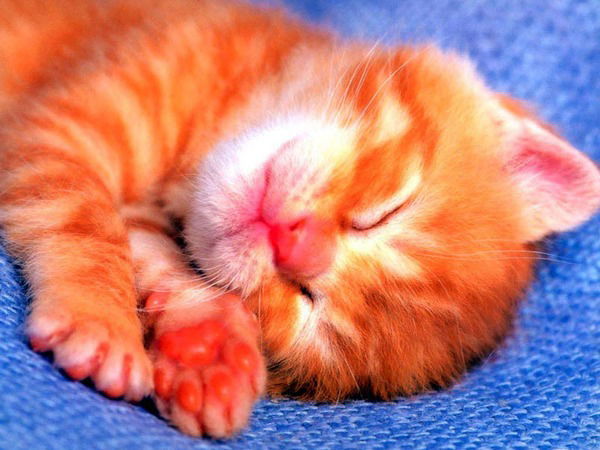 Надежда Иванова