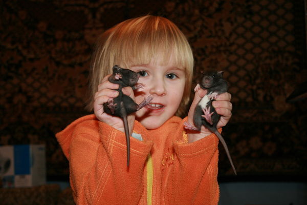 Михаил Гаганов