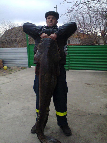 Виктор Семёнкин