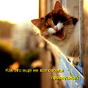 Алеся Ильющенко
