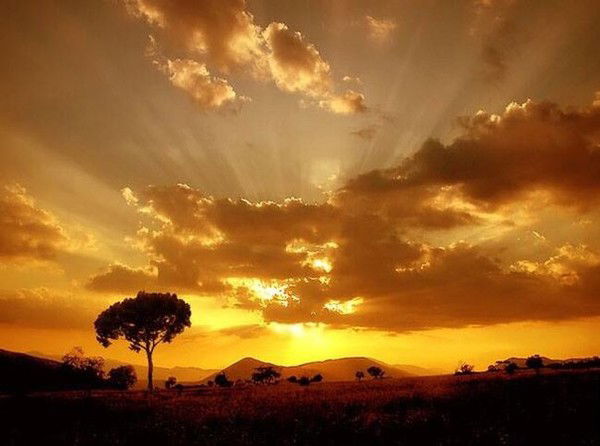 Алексей Филонов