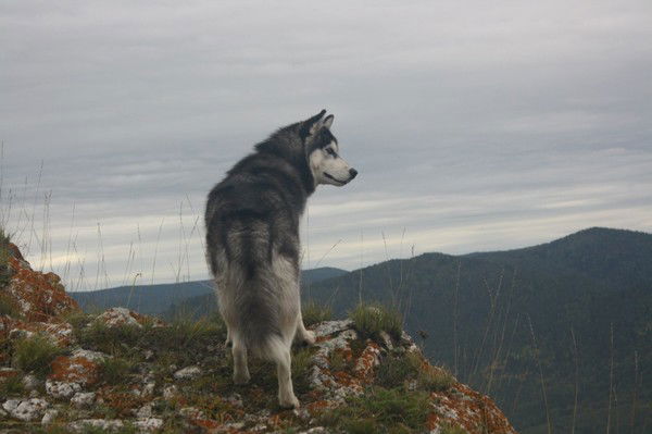 Анастасия Савкина