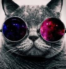 Владислав Шалимов