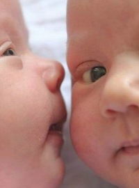 Екатерина Сырцева