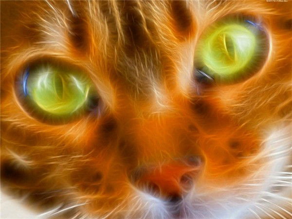 Мария Шопырева