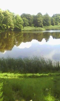 Анна Постникова