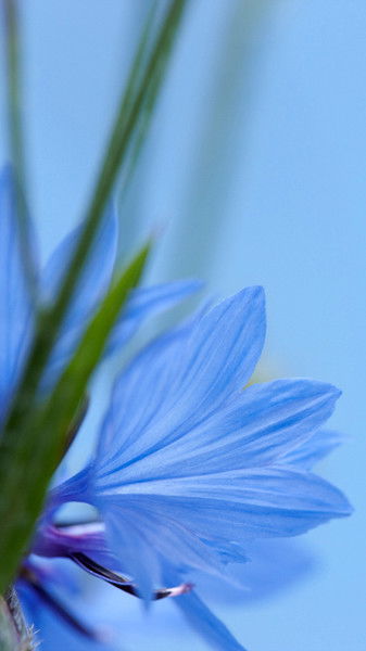 Акдана Ибраева