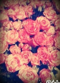 Аня Фёдорова