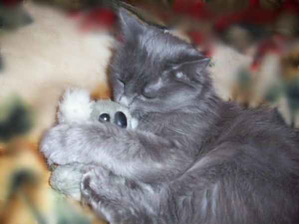 Ольга Неповторимая