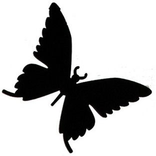 Даша Пахомова