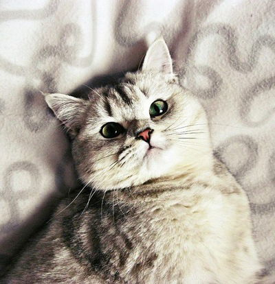 Дарья Соловьева