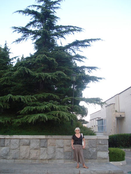 Илария Погибелева