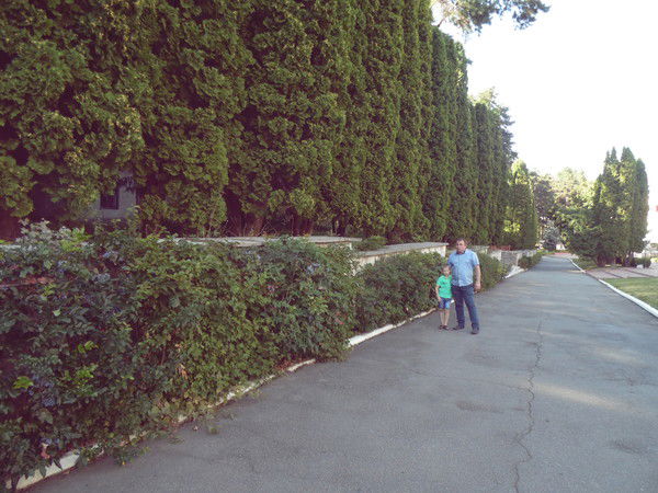 Виталий Шевчук