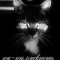 Елена Мужнина