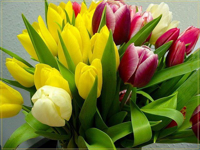 Олег И Татьяна Гурьяновы