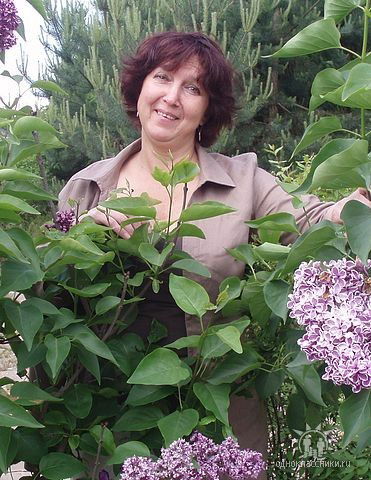 Елена Чанышева