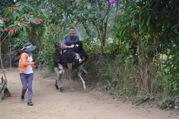 Олег Матушков