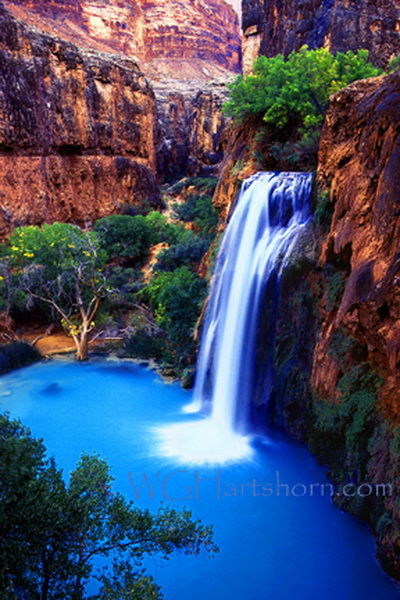 Геля Жукова