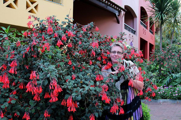 Елена Виноградова