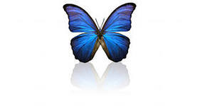 Елена Шаталова