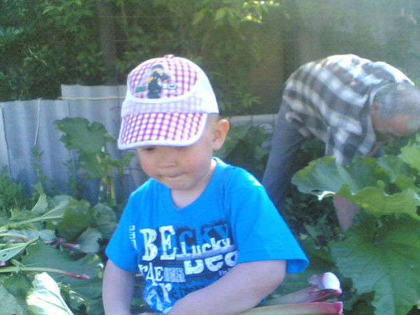 Михаил Ножнин