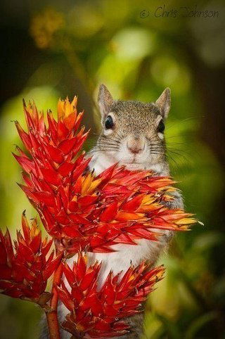 Наталья Литвинова (Вьюн)