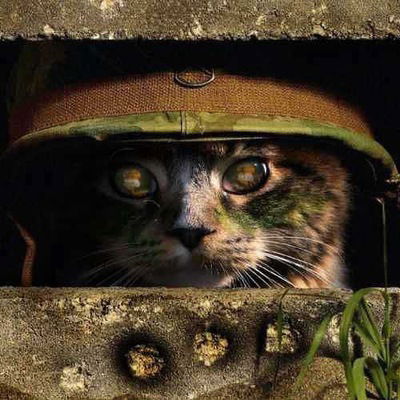 Михаил Ерёмкин