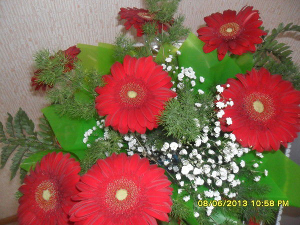 Жанара Толеутаева