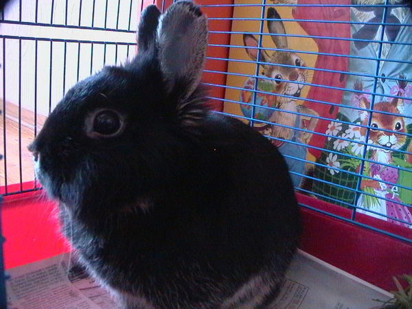 Татьяна Юдина