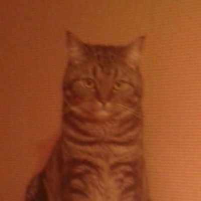 Ваня Максимов