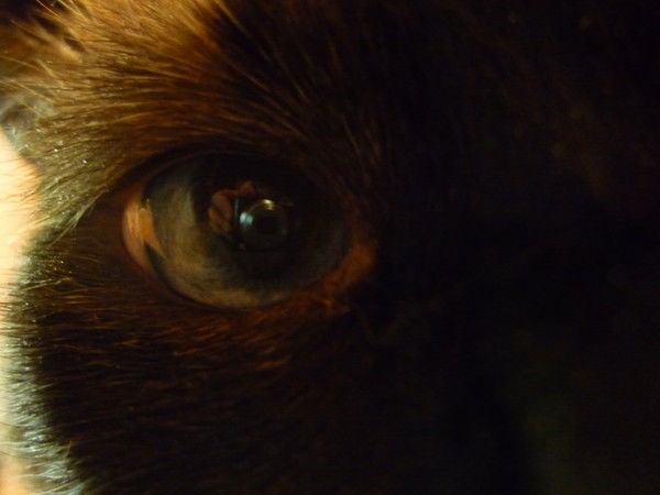 Алексей Егин