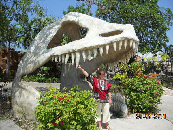 Наталья Антоненко