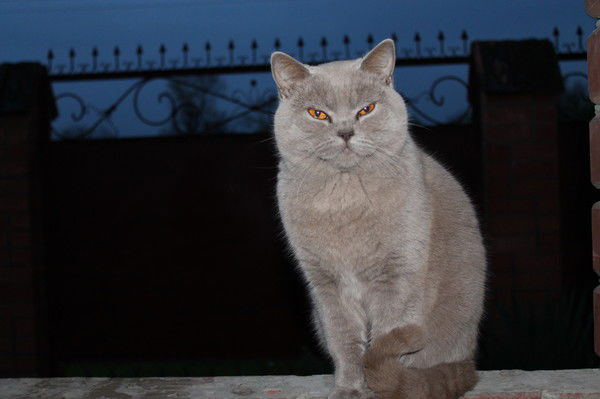 Жанна Белышева