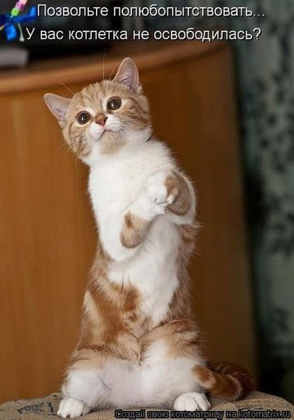 Елена Деревянко