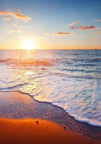 Александра Фролова