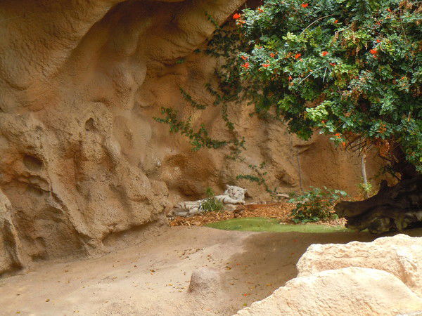 Галина Тульская