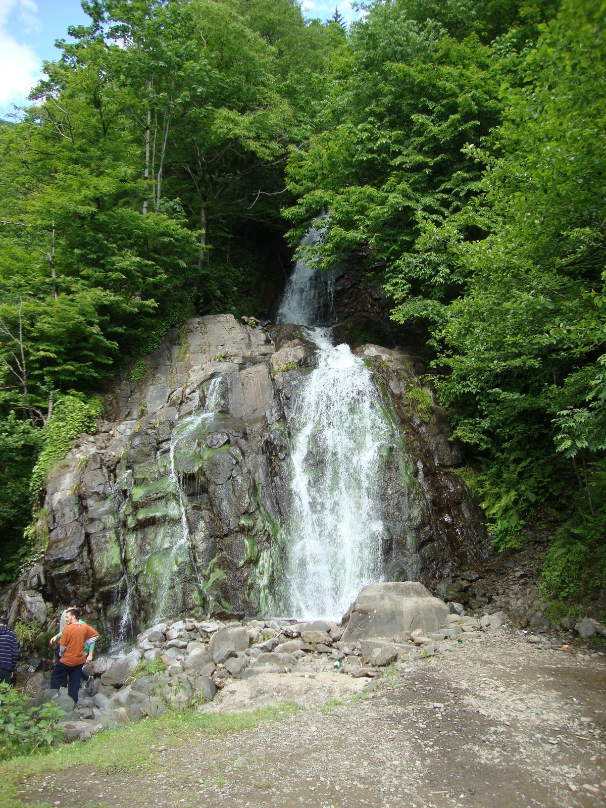 Туры По Грузи